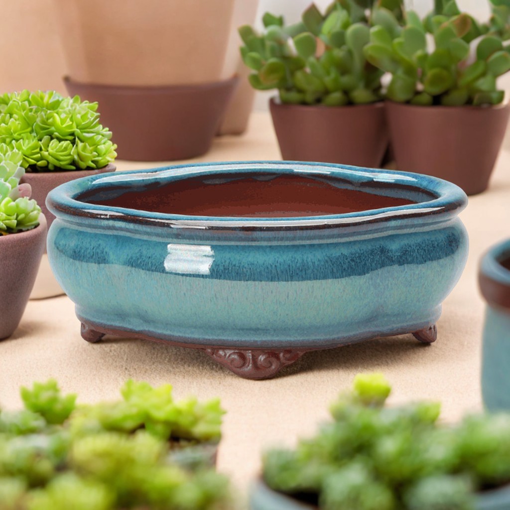 Echeveria Succulent - Ceramic Succulent Flower Pot Chinese Style
