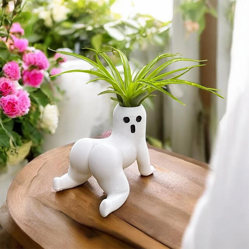 Funny Big Booty Ghost Planter  - đánh giá và giá Echeveria Succulent