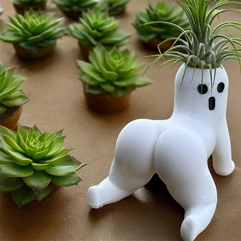 Funny Big Booty Ghost Planter  - đánh giá và giá Echeveria Succulent